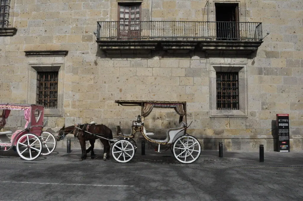 Horse drawn carriage in Downtown Guadalajara