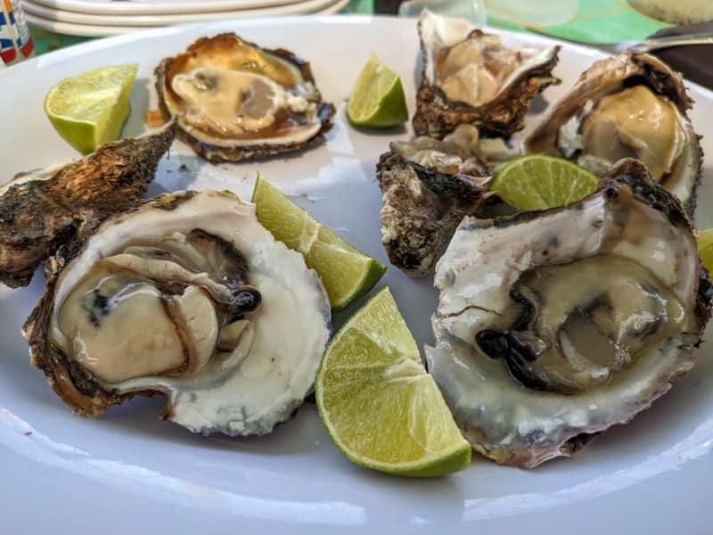 Oysters on the half shell in Nayarit