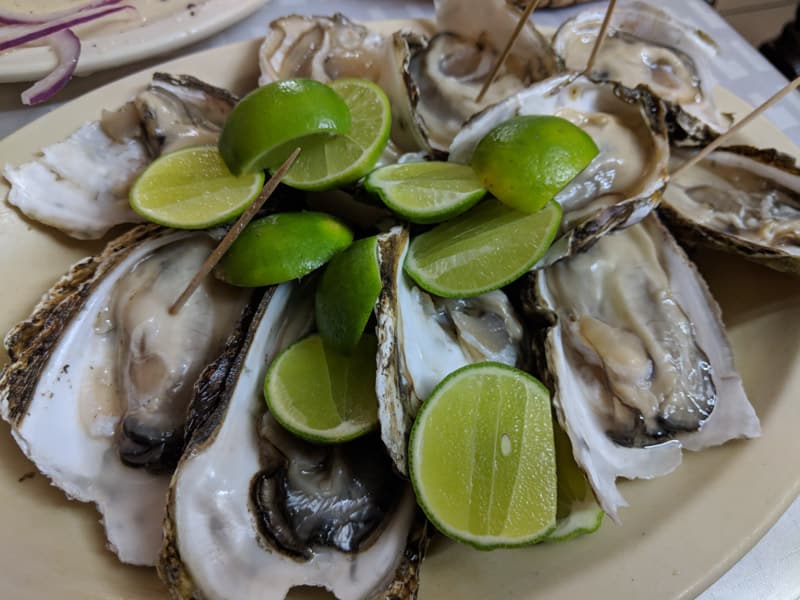 Raw oysters are some of the best seafood in Mazatlán at El Cuchupetas Restaurant